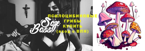 трава Беломорск