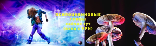 дурь Белокуриха