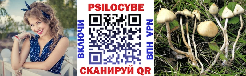 Псилоцибиновые грибы Magic Shrooms  Купить где  Малгобек 